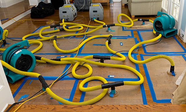Professional Crawl Space Water Removal technician working in Andover, MA